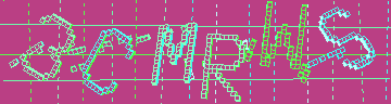 確認代碼