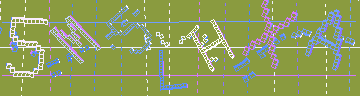 確認代碼