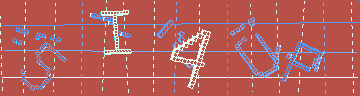 確認代碼