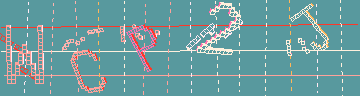 確認代碼