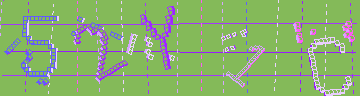 確認代碼