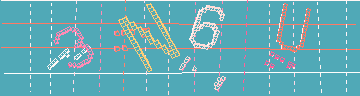 確認代碼