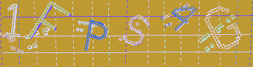 確認代碼