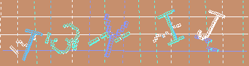 確認代碼