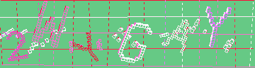 確認代碼