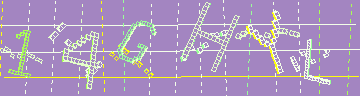 確認代碼