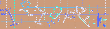 確認代碼