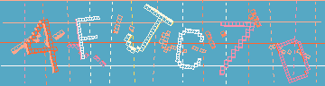 確認代碼