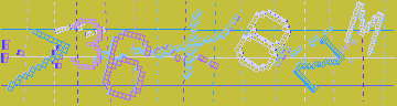 確認代碼