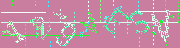 確認代碼