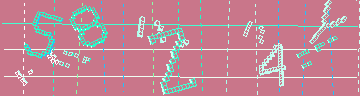 確認代碼