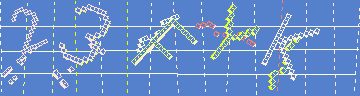 確認代碼