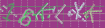 確認代碼