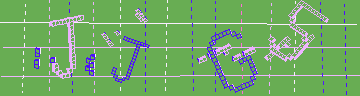 確認代碼