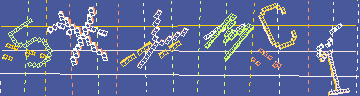 確認代碼