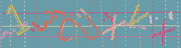 確認代碼