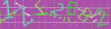 確認代碼