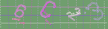 確認代碼