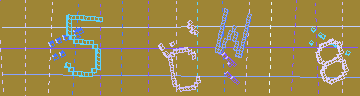 確認代碼