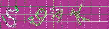 確認代碼