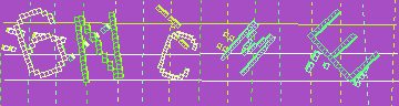 確認代碼