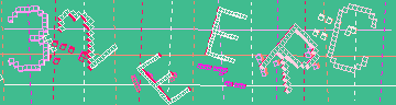 確認代碼
