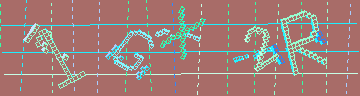 確認代碼