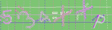 確認代碼