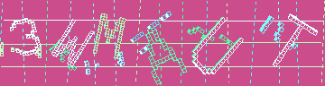 確認代碼