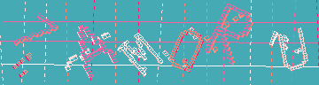 確認代碼