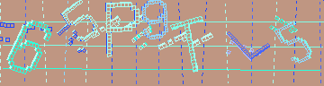 確認代碼
