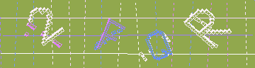 確認代碼