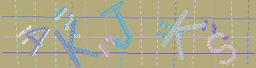 確認代碼