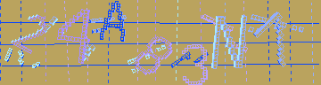 確認代碼