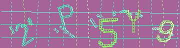 確認代碼