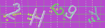 確認代碼