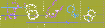 確認代碼