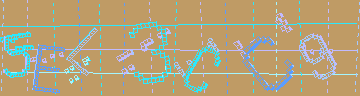 確認代碼