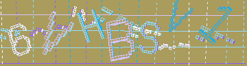 確認代碼