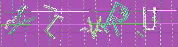 確認代碼