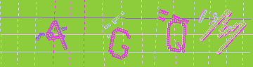 確認代碼