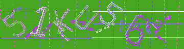 確認代碼