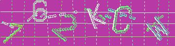 確認代碼
