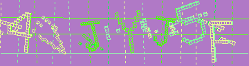 確認代碼
