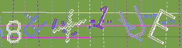 確認代碼