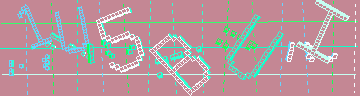 確認代碼