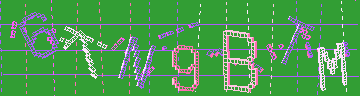 確認代碼