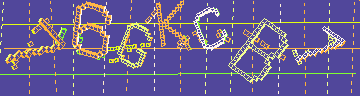 確認代碼