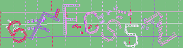 確認代碼