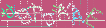 確認代碼